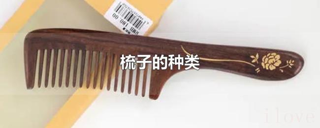 梳子的种类 梳子的种类