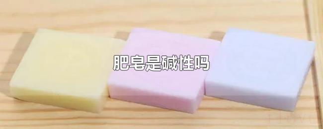 肥皂是碱性吗 肥皂是碱性吗