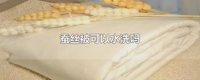 蚕丝被可以水洗吗