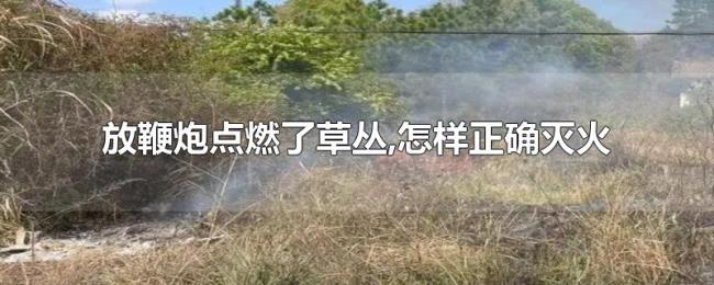 放鞭炮点燃了草丛,怎样正确灭火