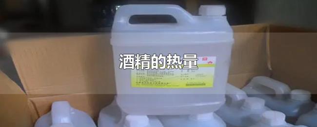 酒精的热量 酒精的热量
