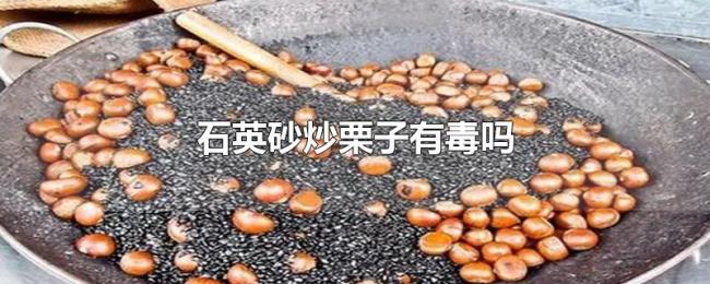 石英砂炒栗子有毒吗