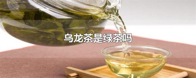 乌龙茶是绿茶吗 乌龙茶是绿茶吗