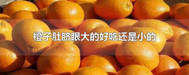 橙子肚脐眼大的好吃还是小的 橙子肚脐眼大的好吃还是小的