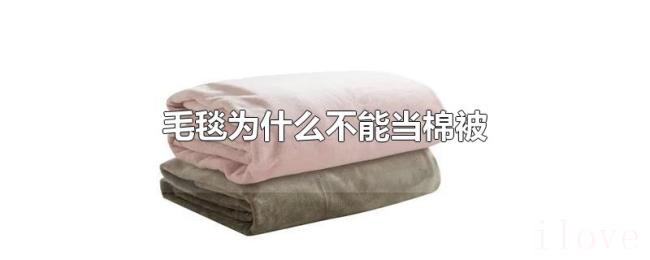 毛毯为什么不能当棉被