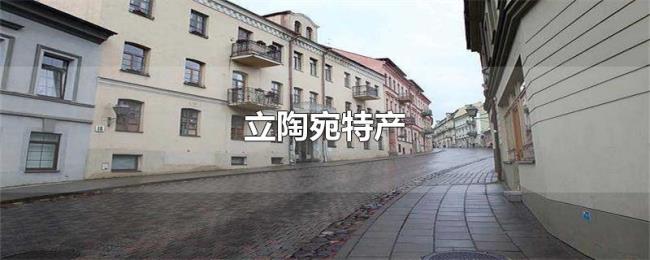 立陶宛特产