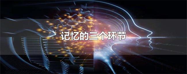 记忆的三个环节