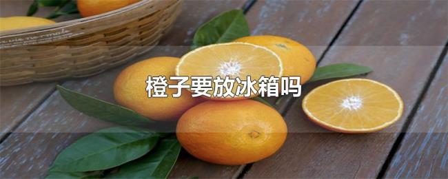 橙子要放冰箱吗 橙子要放冰箱吗