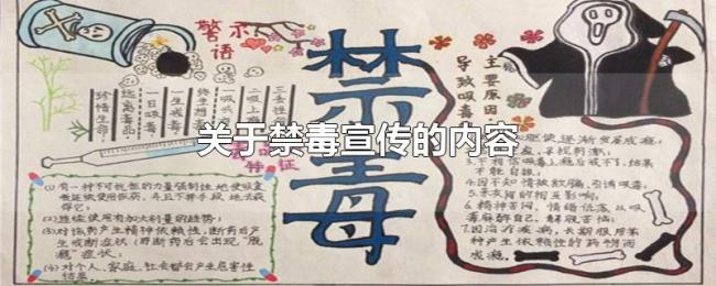 关于禁毒宣传的内容 关于禁毒宣传的内容