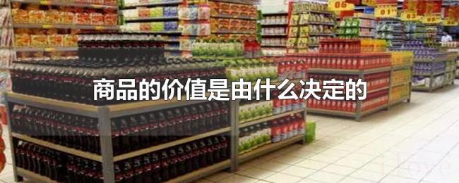 商品的价值是由什么决定的