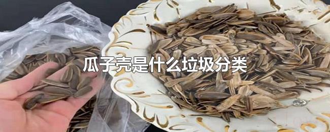 瓜子壳是什么垃圾分类 瓜子壳是什么垃圾分类
