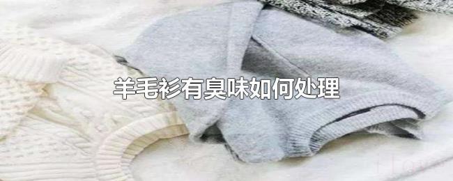 羊毛衫有臭味如何处理