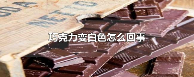 巧克力变白色怎么回事