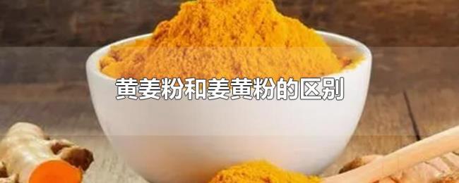 黄姜粉和姜黄粉的区别