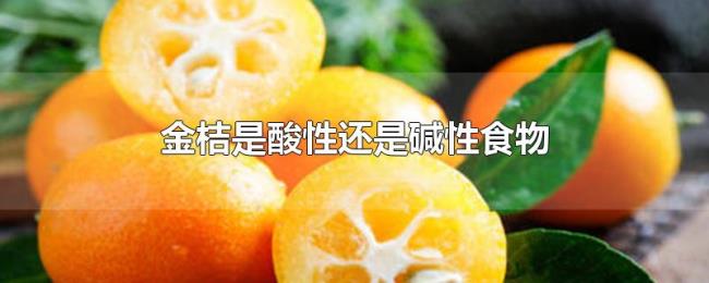 金桔是酸性还是碱性食物