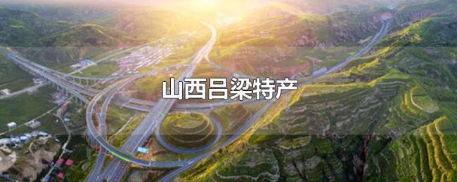 山西吕梁特产