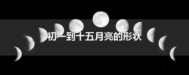 初一到十五月亮的形状 初一到十五月亮的形状