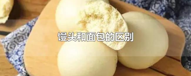 馒头和面包的区别 馒头和面包的区别