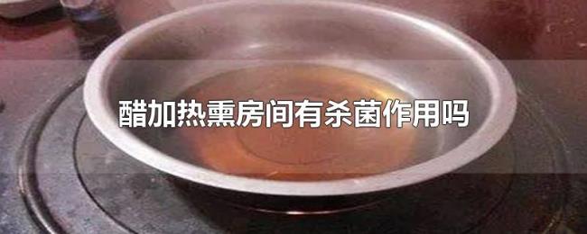 醋加热熏房间有杀菌作用吗