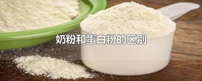 奶粉和蛋白粉的区别 奶粉和蛋白粉的区别
