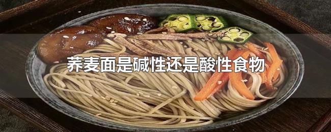 荞麦面是碱性还是酸性食物