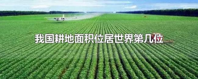 我国耕地面积位居世界第几位