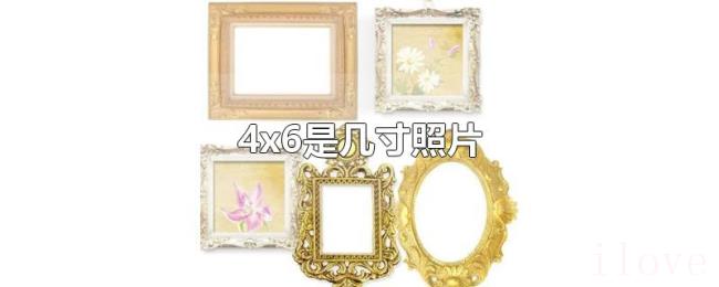 4x6是几寸照片