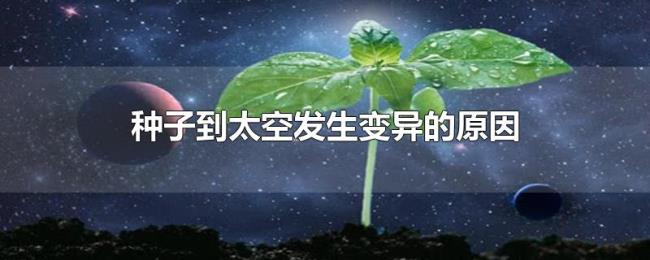 种子到太空发生变异的原因 种子到太空发生变异的原因