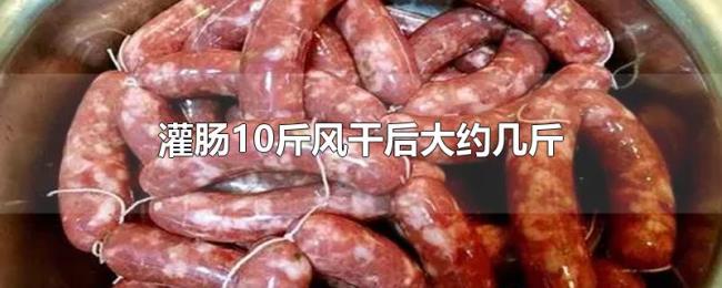 灌肠10斤风干后大约几斤