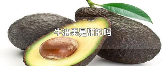 牛油果是甜的吗