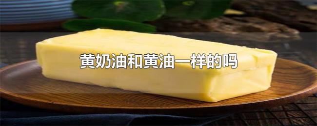 黄奶油和黄油一样的吗