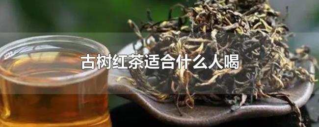 古树红茶适合什么人喝