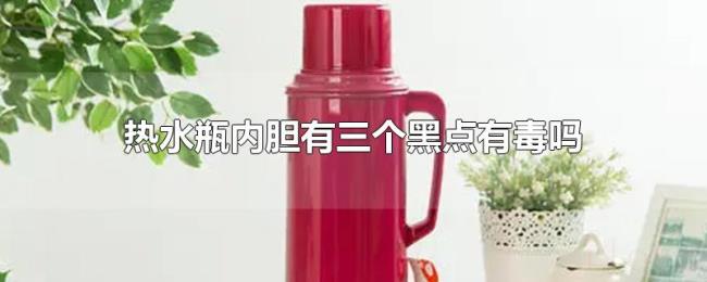 热水瓶内胆有三个黑点有毒吗