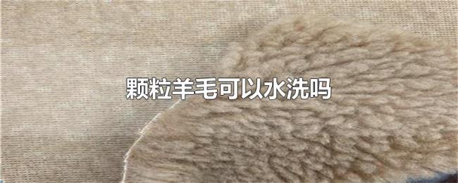 颗粒羊毛可以水洗吗
