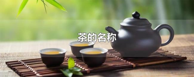 茶的名称 茶的名称