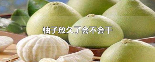 柚子放久了会不会干