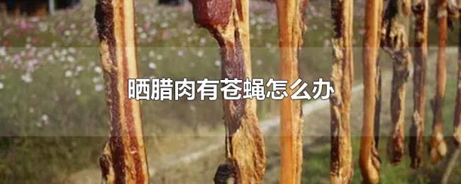 晒腊肉有苍蝇怎么办 晒腊肉有苍蝇怎么办