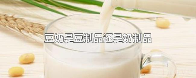 豆奶是豆制品还是奶制品
