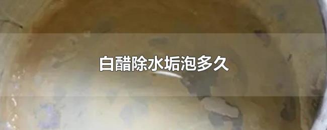 白醋除水垢泡多久 白醋除水垢泡多久