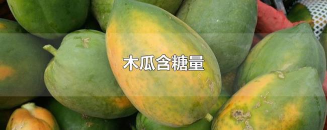 木瓜含糖量