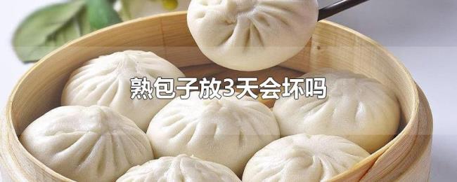 熟包子放3天会坏吗 熟包子放3天会坏吗