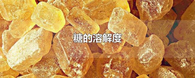 糖的溶解度