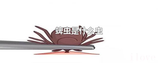 蜱虫是什么虫 蜱虫是什么虫