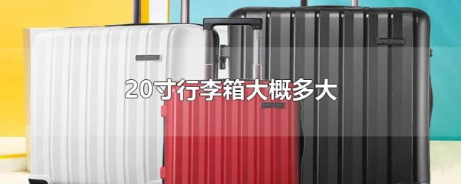 20寸行李箱大概多大