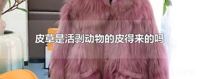 皮草是活剥动物的皮得来的吗 皮草是活剥动物的皮得来的吗