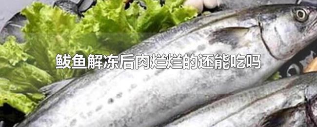 鲅鱼解冻后肉烂烂的还能吃吗 鲅鱼解冻后肉烂烂的还能吃吗