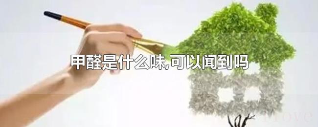 甲醛是什么味,可以闻到吗 甲醛是什么味,可以闻到吗