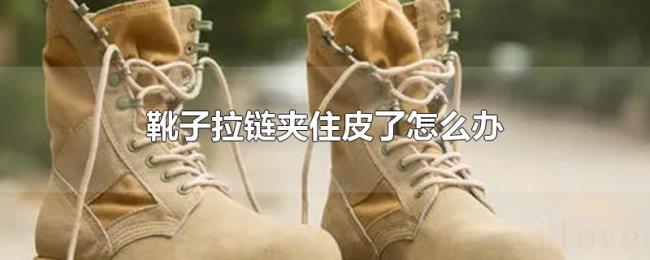 靴子拉链夹住皮了怎么办 靴子拉链夹住皮了怎么办