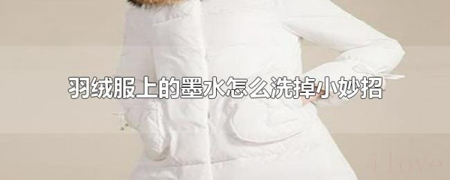 羽绒服上的墨水怎么洗掉小妙招 羽绒服上的墨水怎么洗掉小妙招