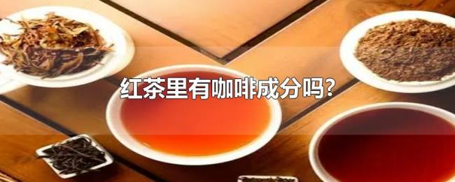 红茶里有咖啡成分吗? 红茶里有咖啡成分吗?